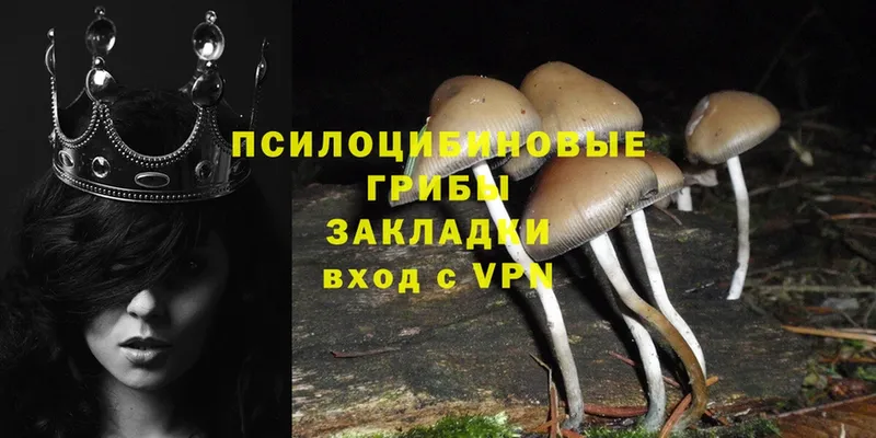 гидра ссылка  Североморск  Галлюциногенные грибы Psilocybine cubensis 